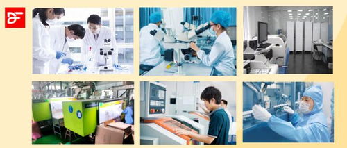 春图投资设立第三家研发公司，聚焦夫妻共用产品创新与技术转让