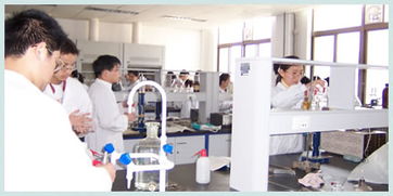 干粉砂浆 生产制作、技术转让与建筑培训全解析